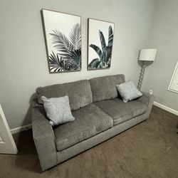 Couch With Pullout Bed- Basically New