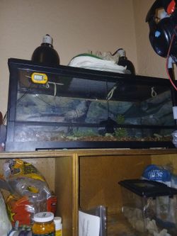 Reptile tank 20 gals