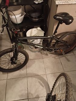 MONGOOSE