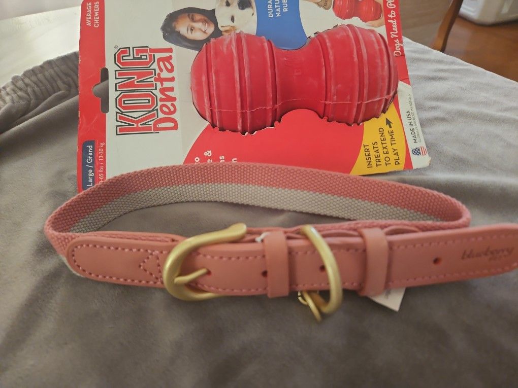 Dog Collar  And  Kong 