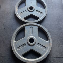45 lbs  WEIDER Olympic Weight Plates…. Home Gym Fitness….