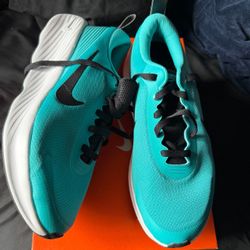 Nike Promina Men’s 8.5
