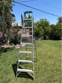 Gorilla ladder 10ft (old)