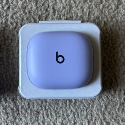 Purple Powerbeats Pro 2! Never Used And Great Condition!