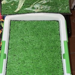 Dog Pee Pad