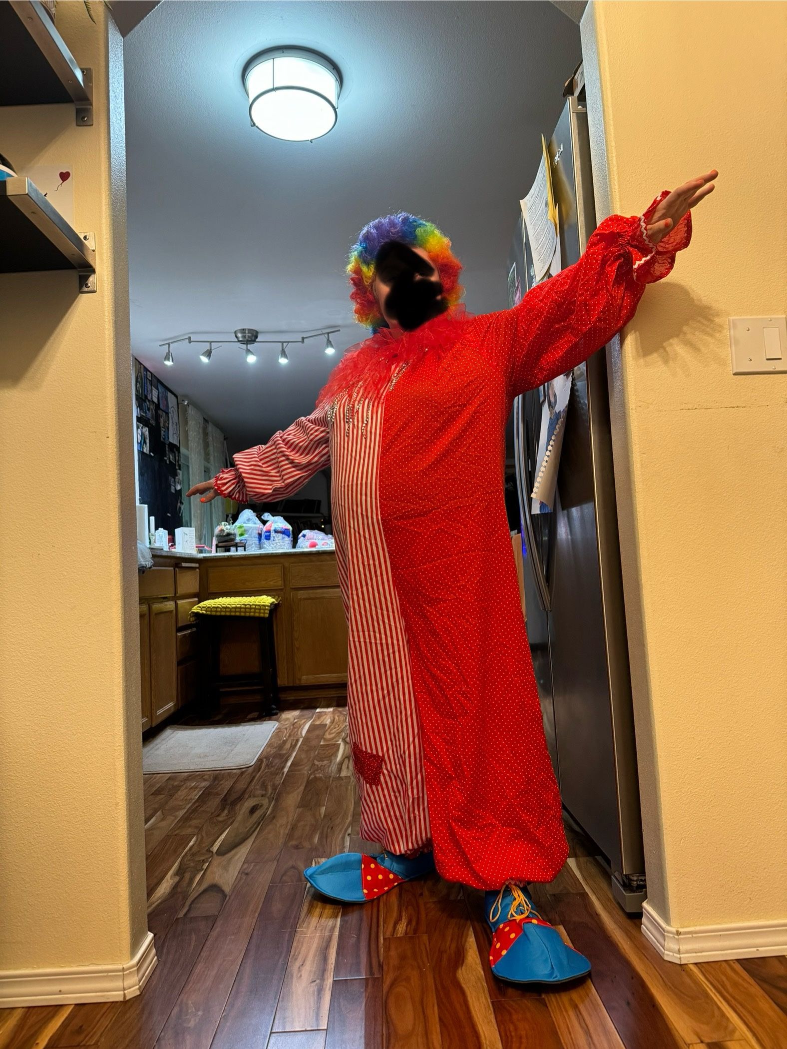 Halloween Clown Costume