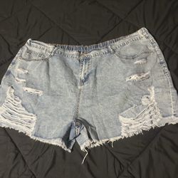 Plus Size Shorts