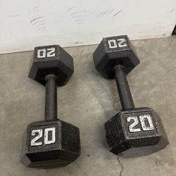 20lb Dumbbells