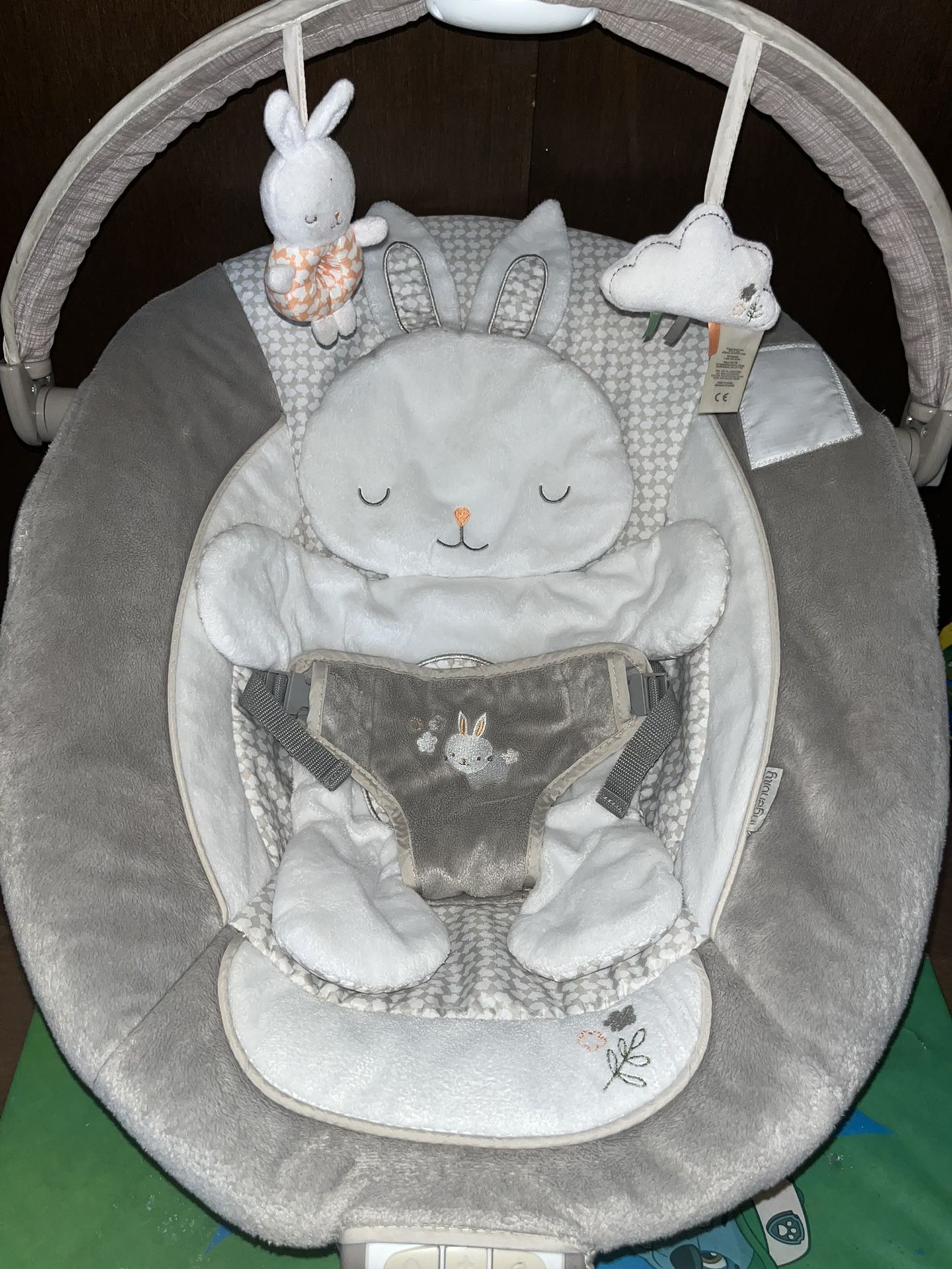 Ingenuity Baby Bouncer