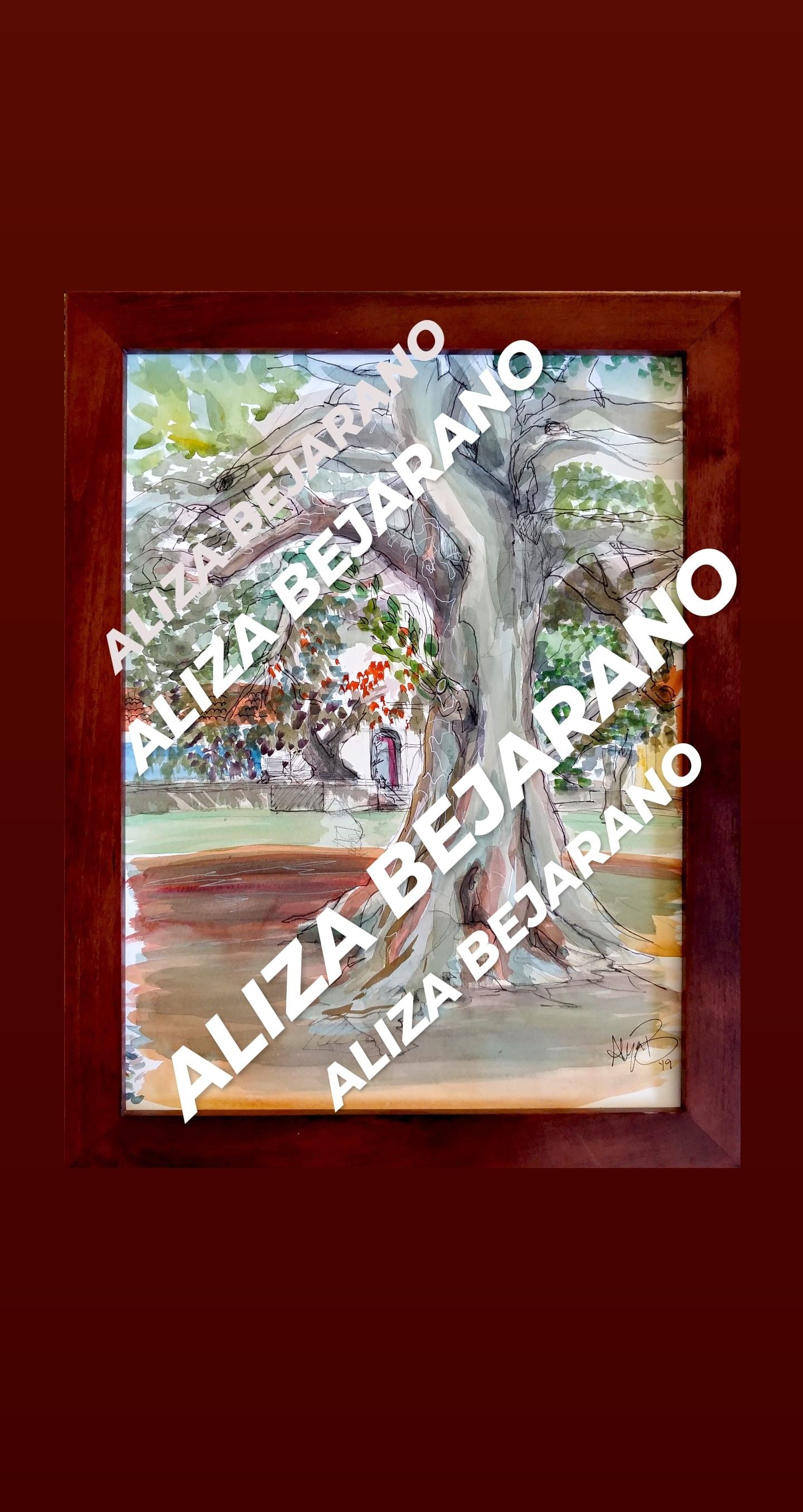 Framed Mission Park Fig Tree Painting
