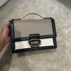 Coach Riley 18 Crossbody Handbag 