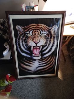 Tiger picture