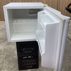 Mini Refrigerator With Cooler 