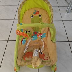 Fisher Price Newborn To Toddler Chair