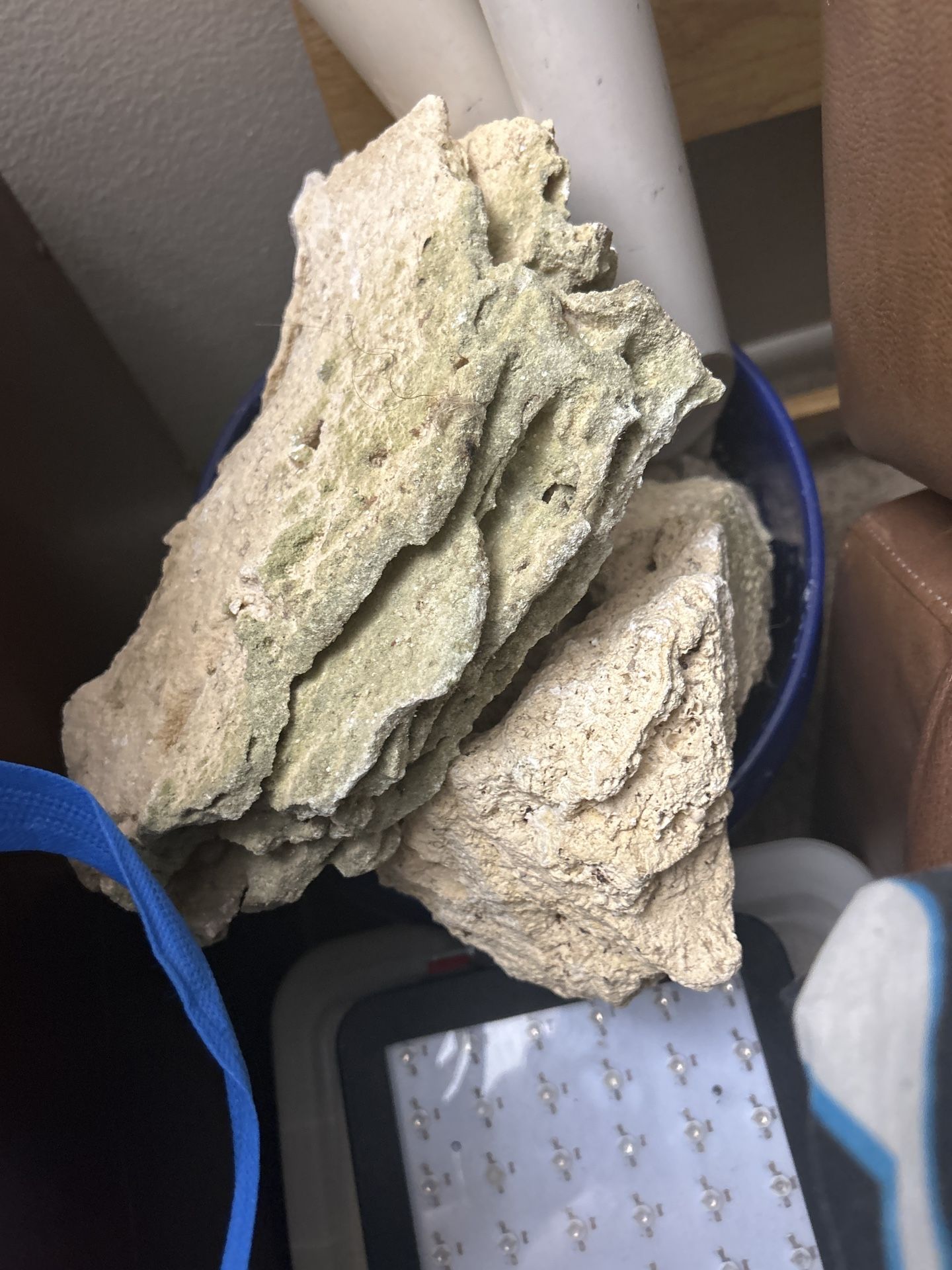 Bunch Of Coral Rocks