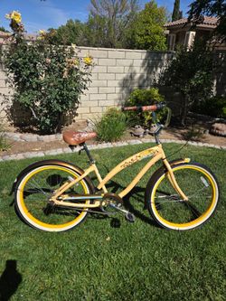 Nirve beach cruiser