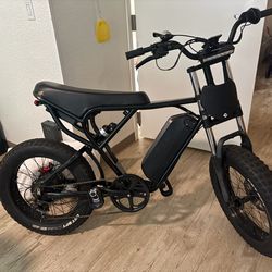 Ridstar Q20 ebike e-bike