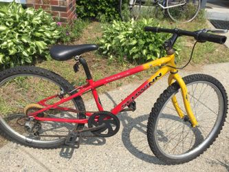 Schwinn thrasher bike