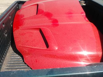 Grand am or grand prix cow hood