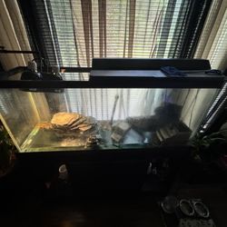 Tetra Glass Aquarium 55 Gallon Fish/Turtle Tank With Heat Lamp