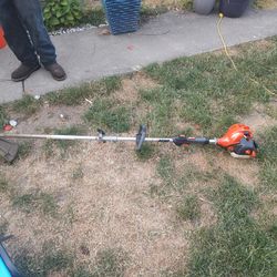 Echo Weedter 