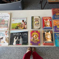 Kid book lot