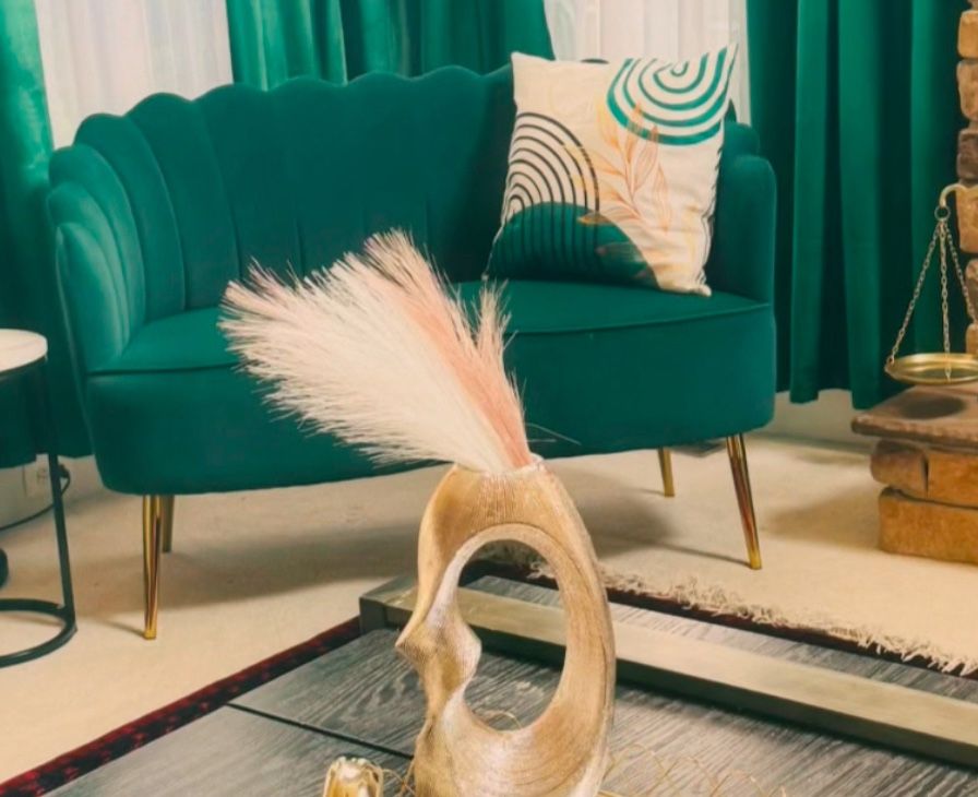 Brand New Couch