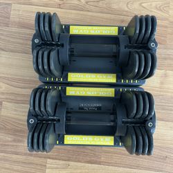 DUMBBELLS  (GOLD'S GYM SPACESAVER 25 SINGLES , QTY 2 DUMBBELLS)