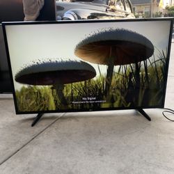 49 “ Lg Tv