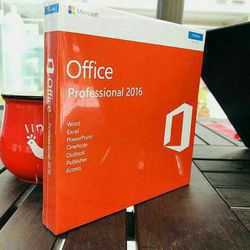 Microsoft Office Professional For Windows PC And Apple Mac