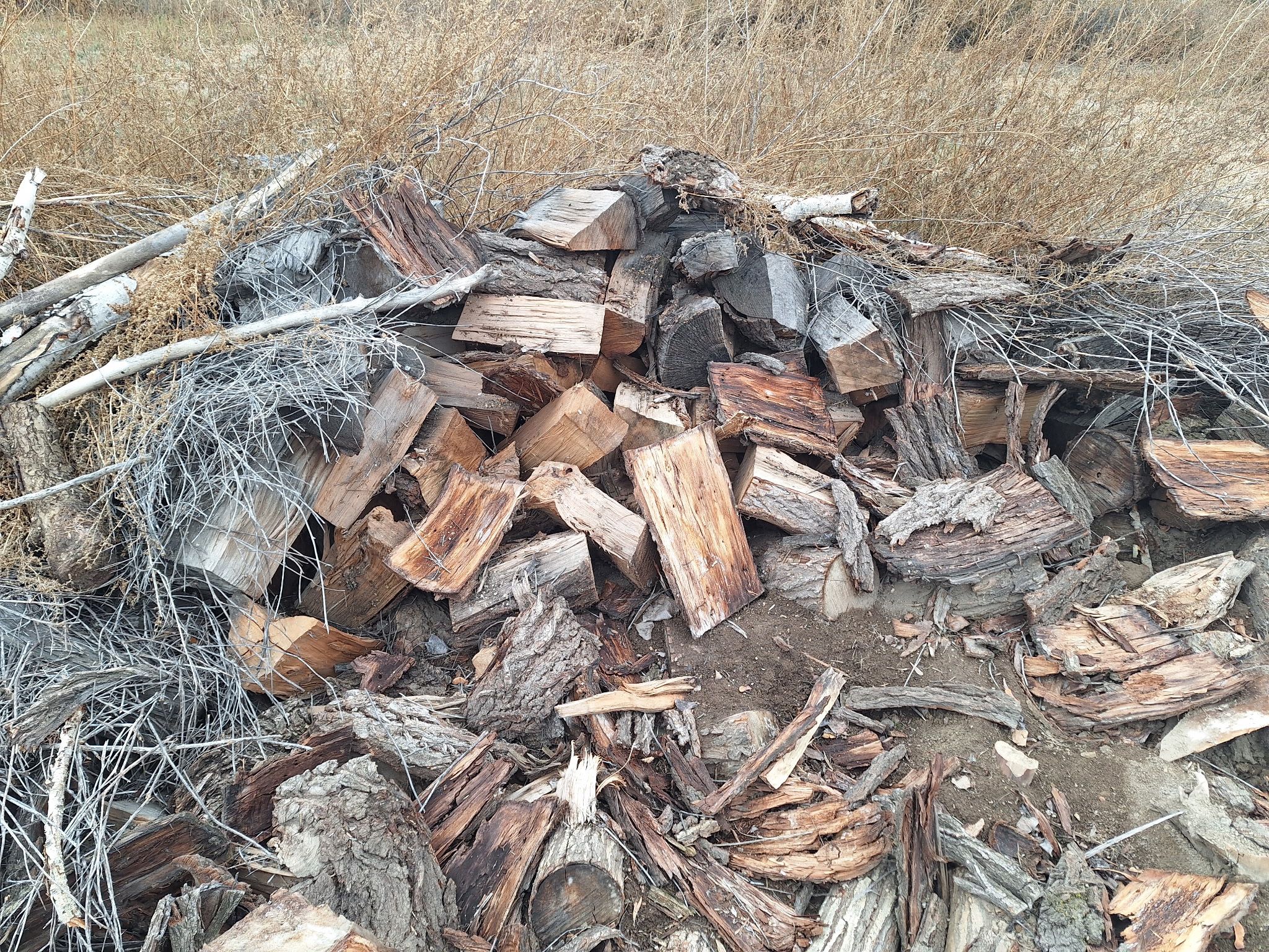 Firewood