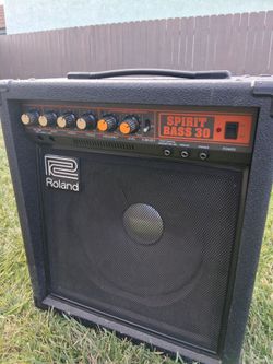Roland ,bass guitar 12"
