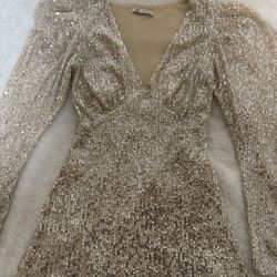 Zara Sequin Dress Size small/26 