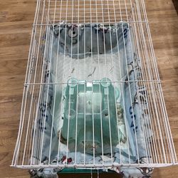 GuineaPig Cage 