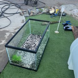 Fish Tank Or Enclosure 