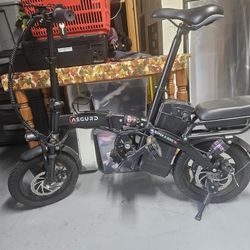 Folding Electric Bike