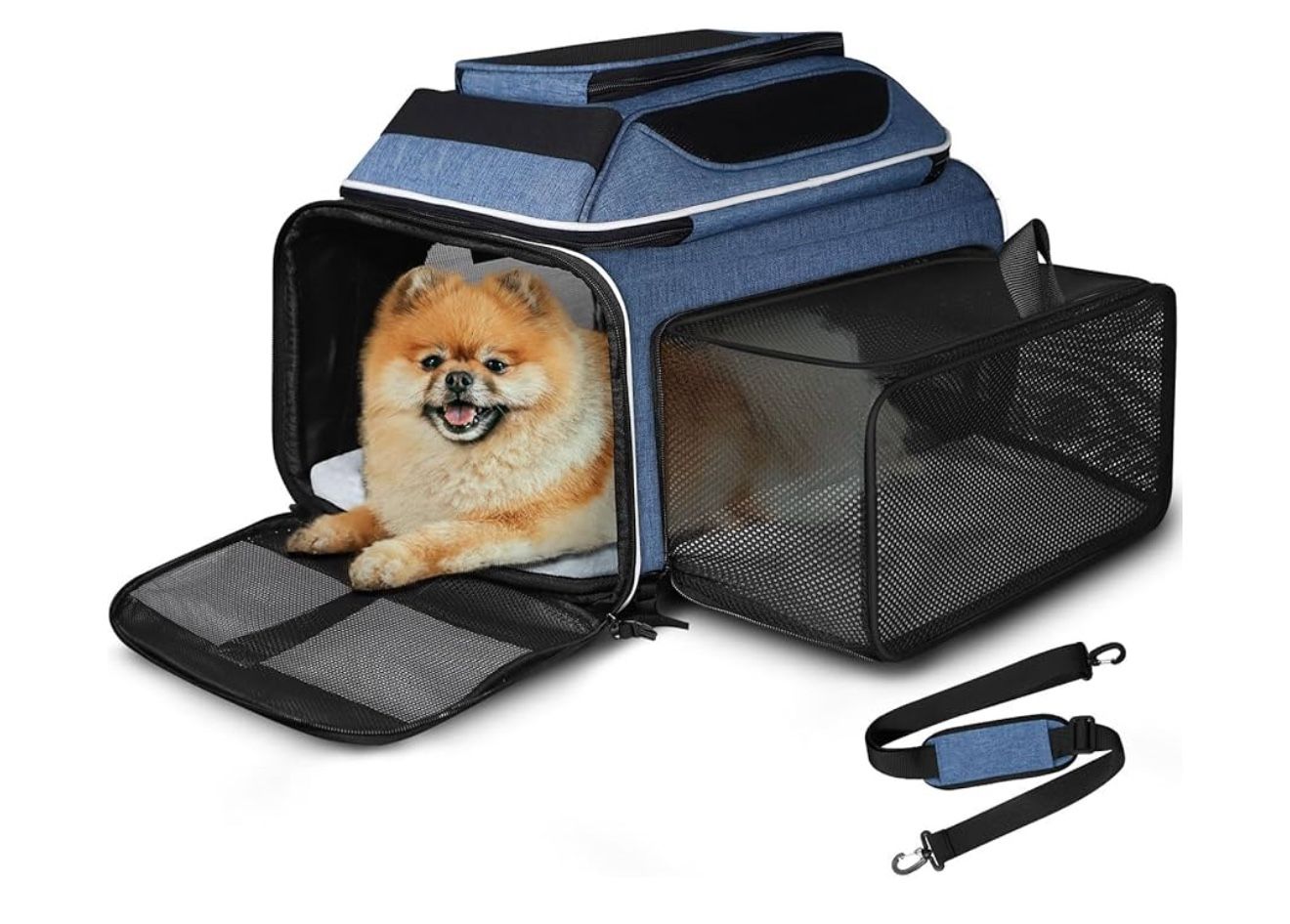 Petskd Pet Carrier