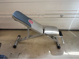 Adjustable Workout Weight Bench