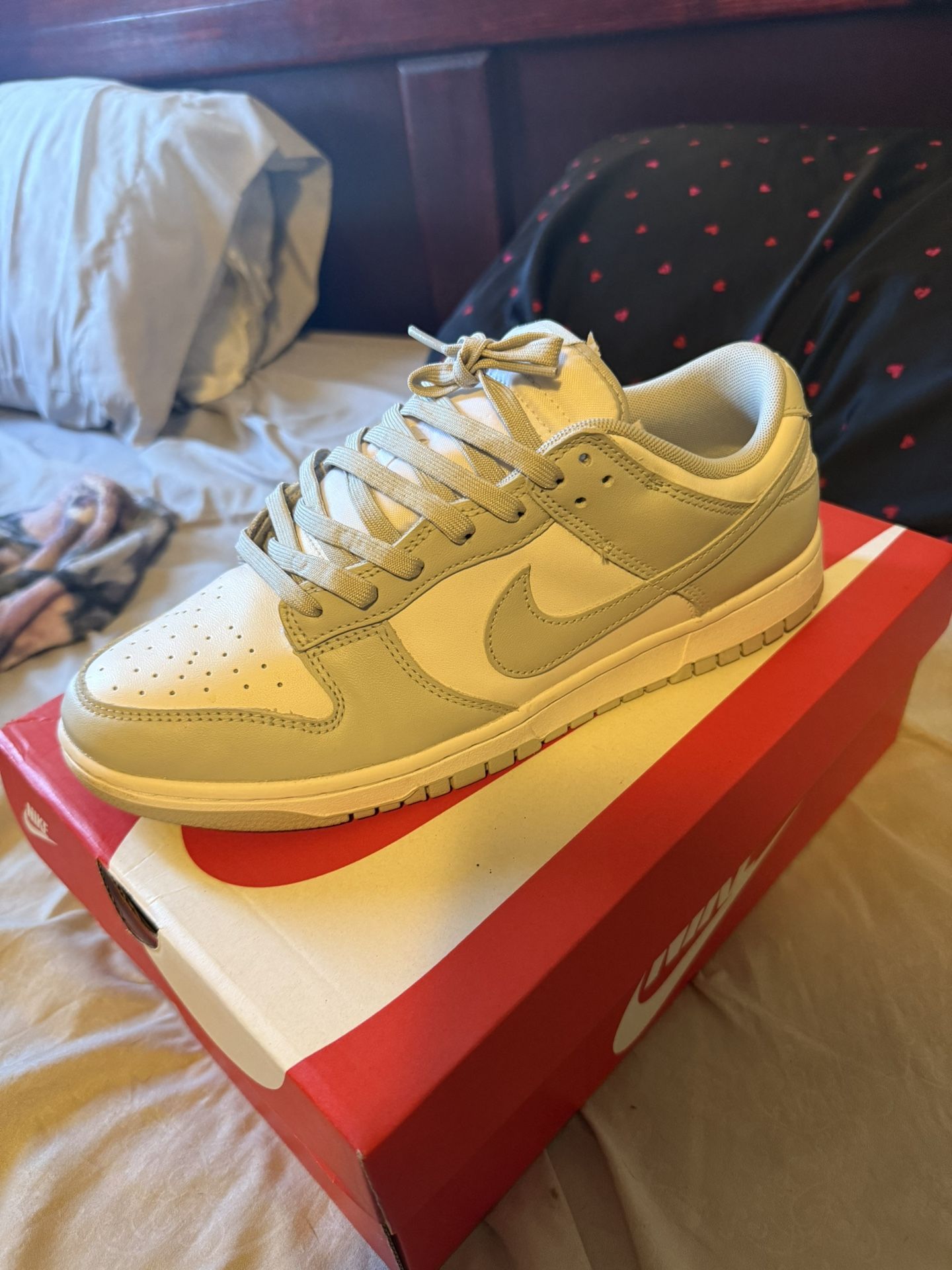 Nike Dunks 10.5