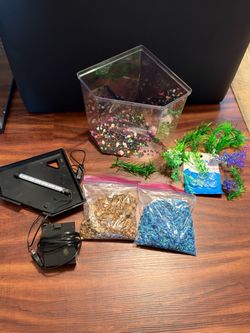 2.5 Gallon Corner Fish Tank Kit with Accessories