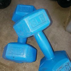 5 Lb Dumbbells