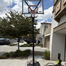 Lifetime Basketball Hoop $30