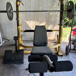 Stinger Weight Bench Home Gym 