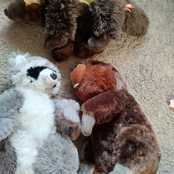 Stuffed Animal Lot