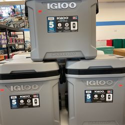 Igloo Maxcold  62 Qt Cooler