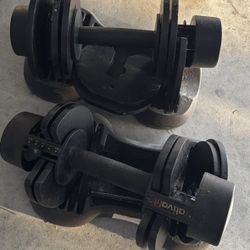 🏋️ Adjustable Dumbbells  – $75 (Wesley Chapel)