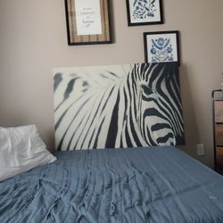 Picture Canvas Zebra