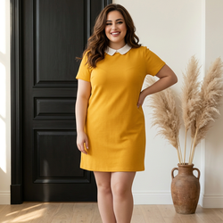 Zara Women Mini Dress