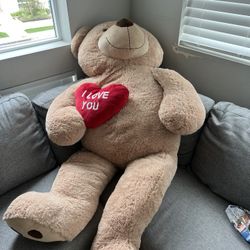 Giant Adult Size Teddy 