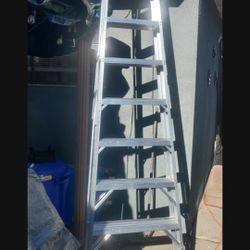 WARNER 10' ALUMINUM LADDER 